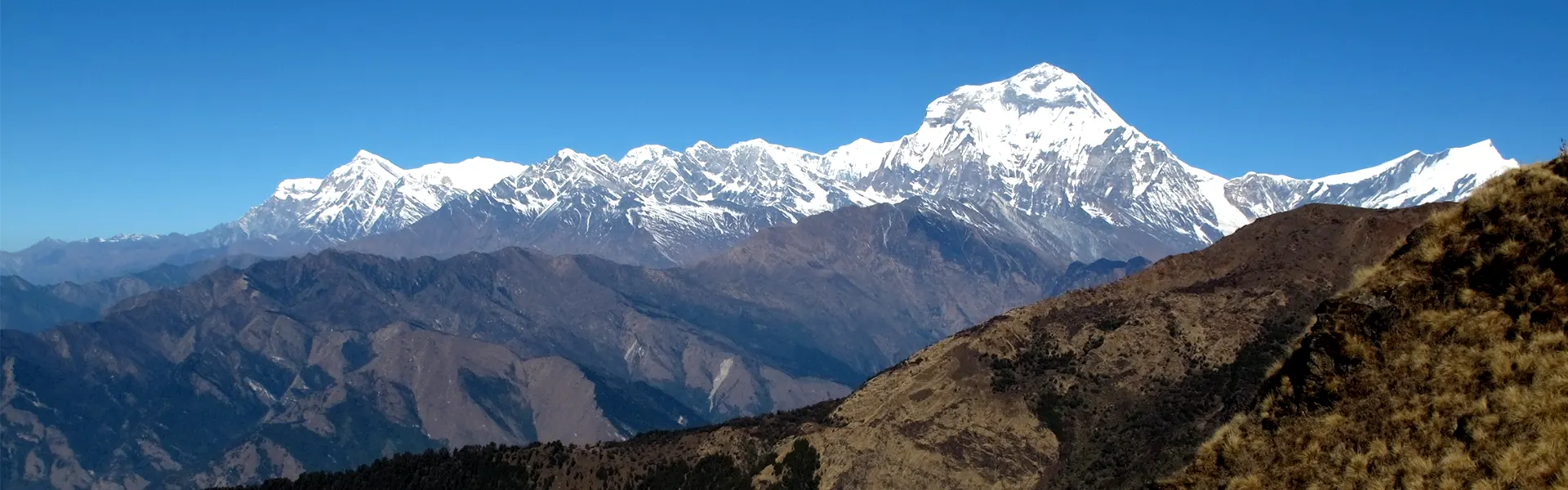 Khopra Danda Trek -13 Days