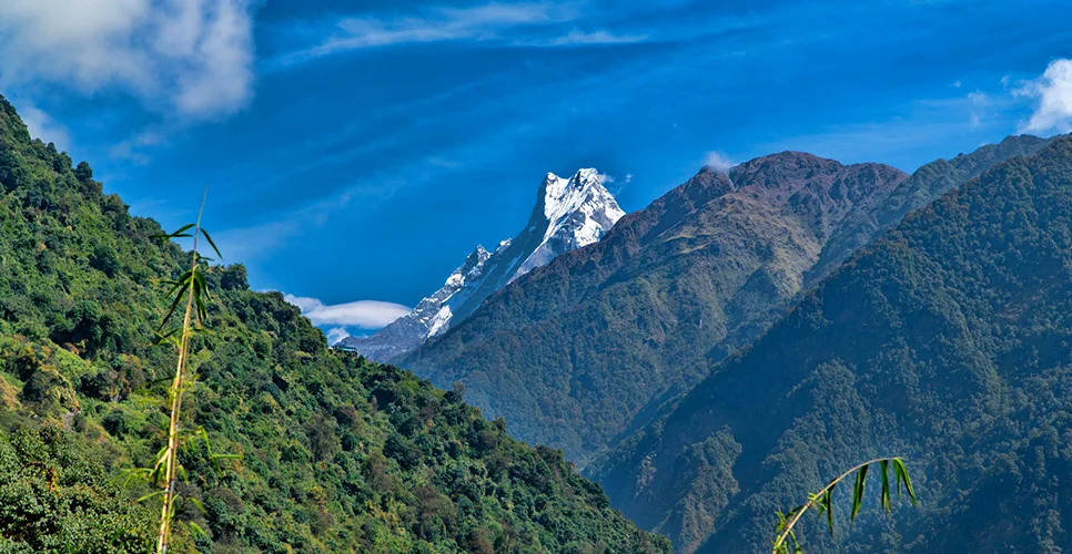 Trekking trail to the Annapurna base camp