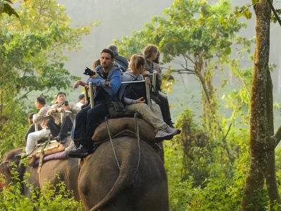 Elephant safari tour Chitwan National Park