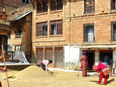 Panauti
