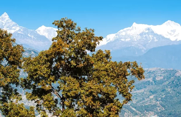 Kathmandu, Nagarkot & Pokhara Tours – 8 Days