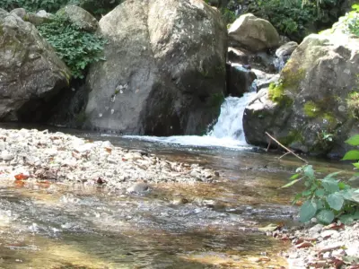 Helambu Trek