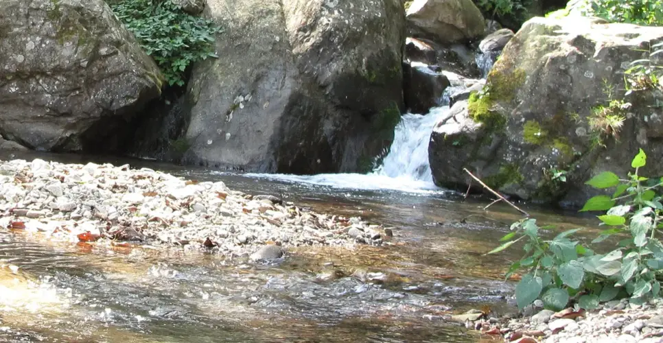 Helambu Trek