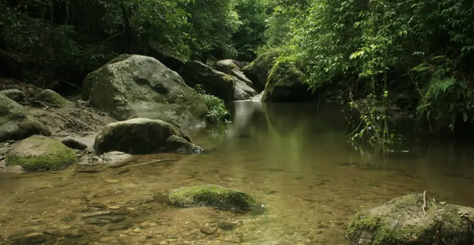 Sundarijal